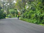 20 P Land for Sale Maharagama