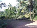 20 Perch Bare Land for Sale in Thalawathugoda CVVV-A2