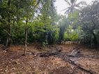 20 Perch Bare Land for Sale - Neelammahara Road, Maharagama