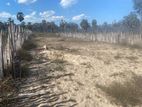 20 Perch Land for Sale Punnakuda Batticaloa