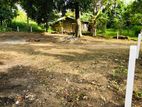 20 Perch land close to Thalawathugoda junction for sale.