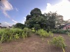 20 Perch Land for Sale | Dangedara, Galle