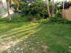 20 Perch Land for Sale Nugegoda