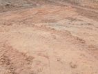 20 Perch Land for Sale in Alwis Town, Wattala