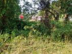 20 PERCH LAND FOR SALE in DAMBULLA