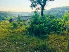 20 Perch Land for Sale in Kalutara