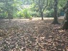 20 Perch Land for Sale in Mahawatta, Kundasale