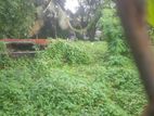 20 Perch Land for Sale in Pelawatta Rs. 2.6 M (Per Perch) CVVV-A2