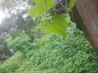 20 Perch Land for Sale in Pelawatta Rs. 2.6 M (Per Perch) CVVV-A2