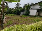 20 Perch Land for Sale in Pinnawala