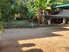 20 Perch Land for Sale in Polonnaruwa