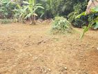 20 Perch Land for Sale in Rathanapura