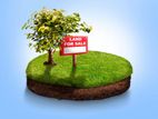 20 Perch Land for Sale in Thalahena SLLL-A3