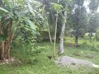 20 Perch Land for Sale Pannipitiya