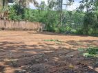 20 Perch Land Near CBL Ranala
