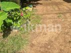 20 Perch Land with Old house for Sale In Boralesgamuwa. KIII-A1