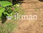 20 Perch Land with Old house for Sale In Boralesgamuwa. KIII-A1