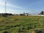 20 Perch Plot for Sale in Mannar