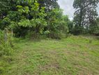 20 Perch Premium Land for Sale in Kumbuka
