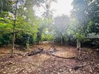 20 Perch Prime Bare Land for Sale in Maharagama – Neelammahara Road