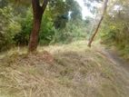 20 Perch Residential Land Gurunediya Ampitiya Road