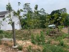 20-Perch Residential Land for Sale in Thalawathugoda | SL12880