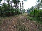 20 Perches Bare Land for Sale in Imbulgoda