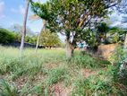20 Perches Land for Rent in Kottawa