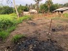 20 Perches Land for Sale at Pallewela, Veyangoda - THI/LS/0022