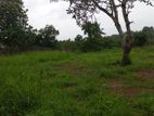 20 Perches Land for Sale in Aniyakanda Road, Peralanda-Ragama (C7-5920)