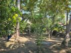 20 Perches Land for Sale in Daluwakotuwa
