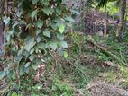 20 Perches Land for Sale in Kandy