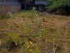 Land for Sale Mannar