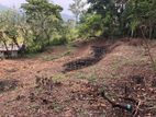 20 Perches Land for Sale in Nawalapitiya