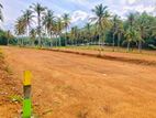 20 Perches Land for Sale in Padukka Udumulla