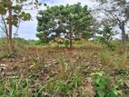 20 Perches Land for sale in Sapugasthanna Road, Kalagedihena