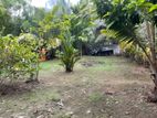 20 Perches Land for Sale in Wattala | LKR 2.5 Million Per Perch