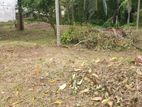 20 Perches | Land for Sale Kotte