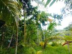 20 Perches Land Sale @Pilimathalawa