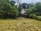 20 Perches Prime Land for Sale – Parliament Road, Battaramulla