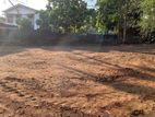 20 Perches Residential Land in Piliyandala | SL14839