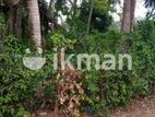 20 Perches Tourism Land For Sale in Talalla - Matara MRRR-A1