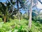 20 Perches Valuable Land for Sale in Homagama