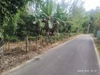 200 Perches Land for Sale - Pilimathalawa
