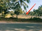 Land for Sale 200 M from Pasikkuda Beach