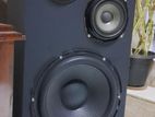 200w 10 inch Speaker