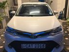 2016 Toyota Axio G Grade Hybrid for Rent