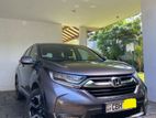 2019 Honda Crv for Rent