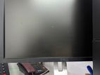 Dell 24" Monitor