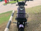 Daywang E-Bike 2024